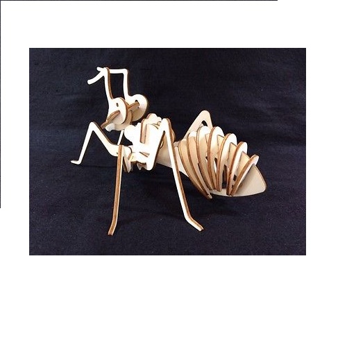 Ant Model 
