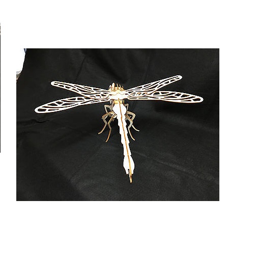 Dragonfly Model   