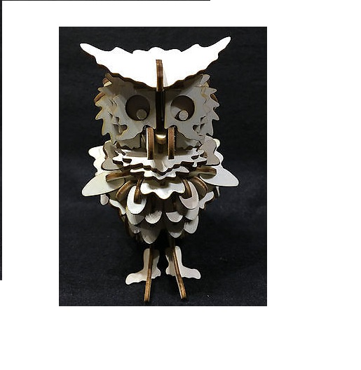Owl Model   ​​​ 